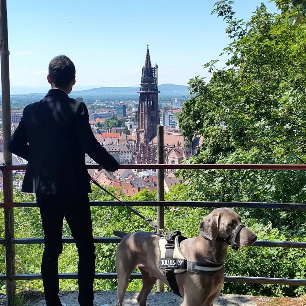 وقتی باخ نجوا کرد